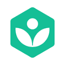 Khan Academy 图标